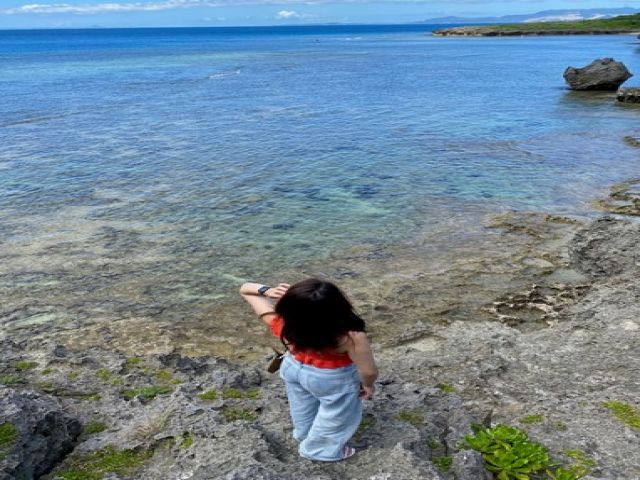 離島めぐりに最適なエリア！