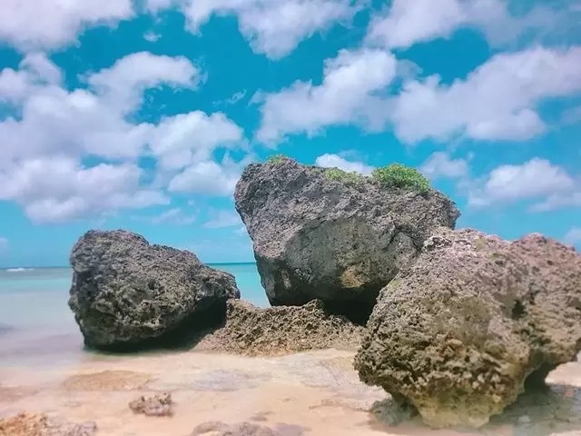 海水浴も散歩も気持ちいいですね☆