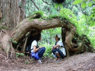 【大自然エリア】大人気案件です。ご応募はお早めに。