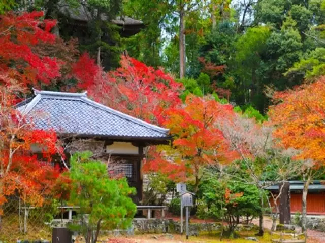 京都の歴史深い高級料理旅館です。
