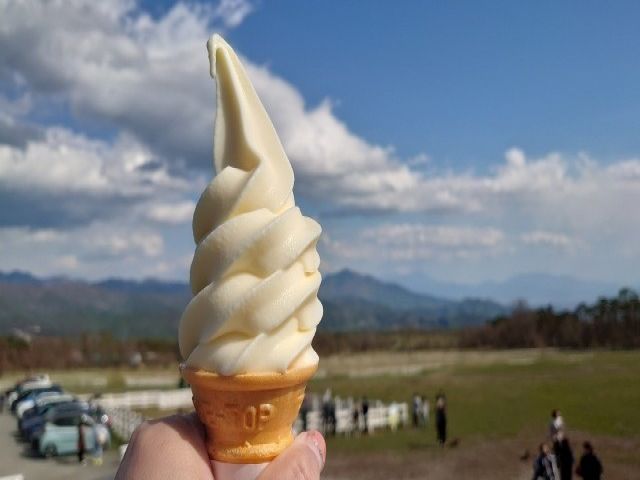 山梨は和洋問わずスイーツ・デザートが盛んです！甘く美味しいものを食べて癒されましょう！