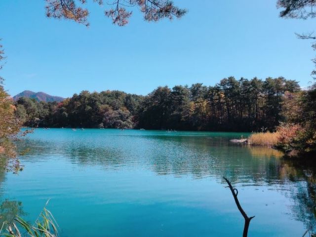 綺麗な景色に癒されよう！