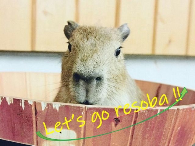 ゴルフコース無料！！