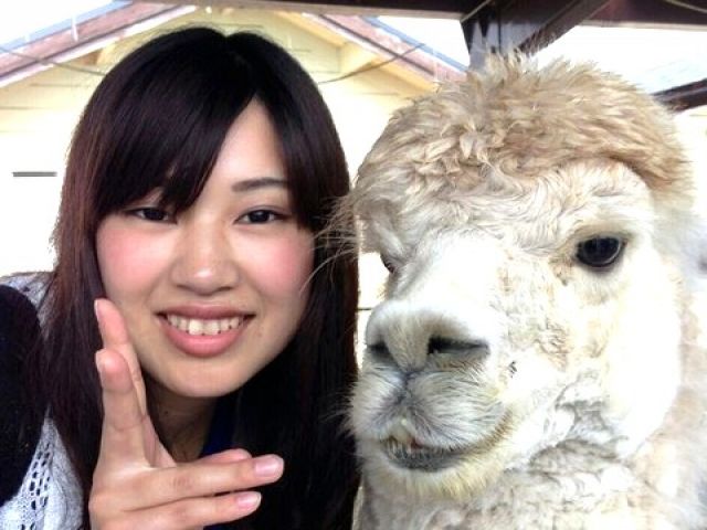 これって何の動物か分かりますか？♪