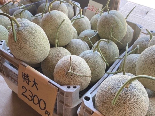 おいしいフルーツがとれる産地の京丹後市☆ご褒美にいかがですか？