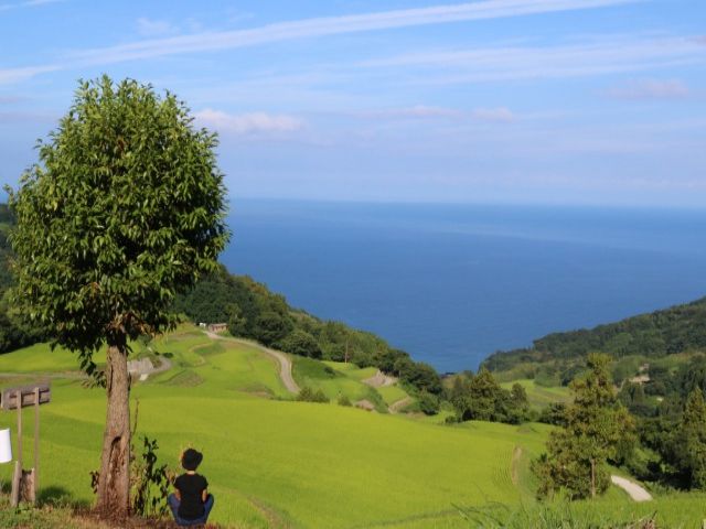 壮大な光景が広がる佐渡島はTHE日本の夏休み♪