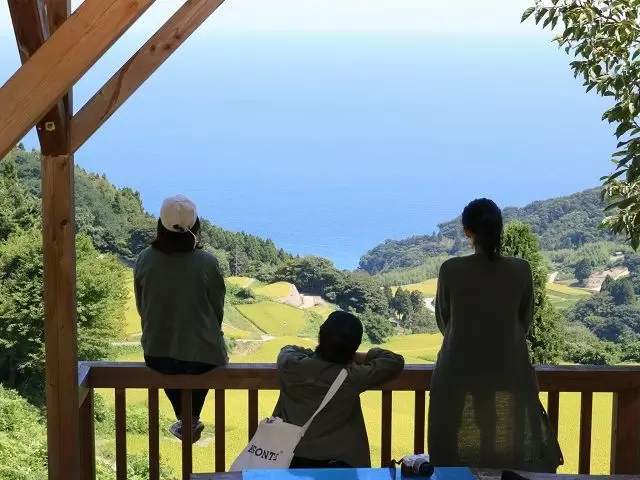 丘に上ってみると、海と田園風景が景色を彩ります♪離島ならではの景色を楽しみませんか？