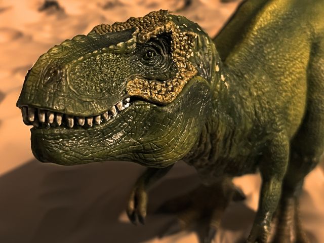 ここでしかできない体験がたくさん！