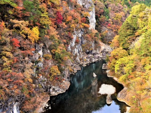 紅葉シーズンの募集です★