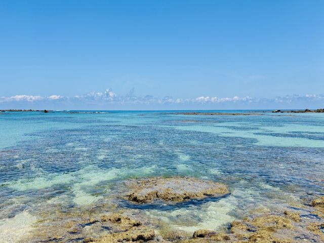 きれいな海が目の前に広がっています！