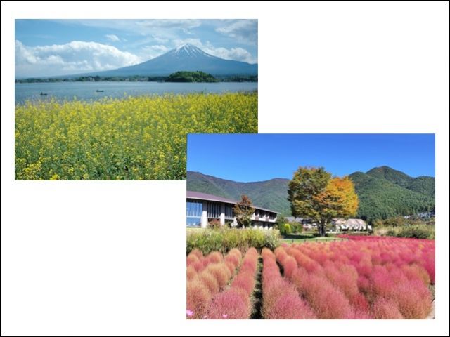 自然豊かな河口湖のお仕事