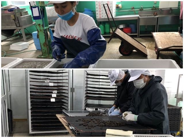 未経験でも受け入れ可能となります！