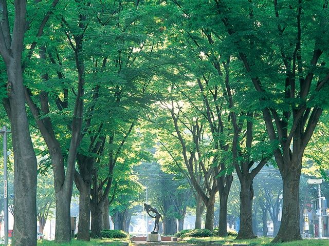 「杜の都」でおなじみの仙台駅近場での勤務♪