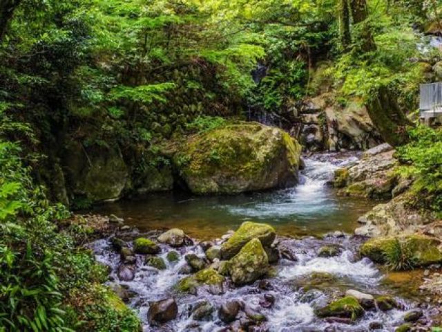 万葉公園で森林浴