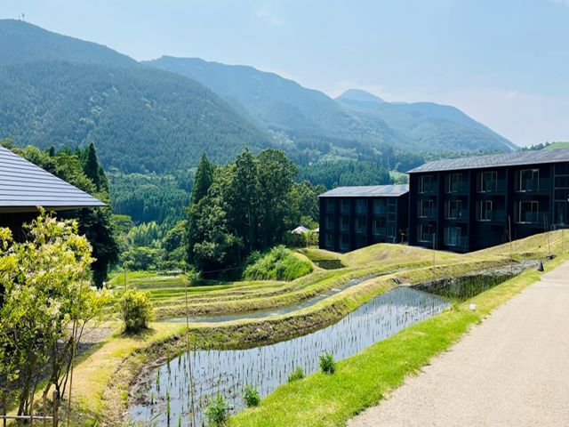 ホテルの敷地内に棚田♪心落ち着きますね！