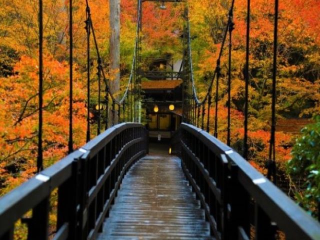 ご応募お待ちしております！