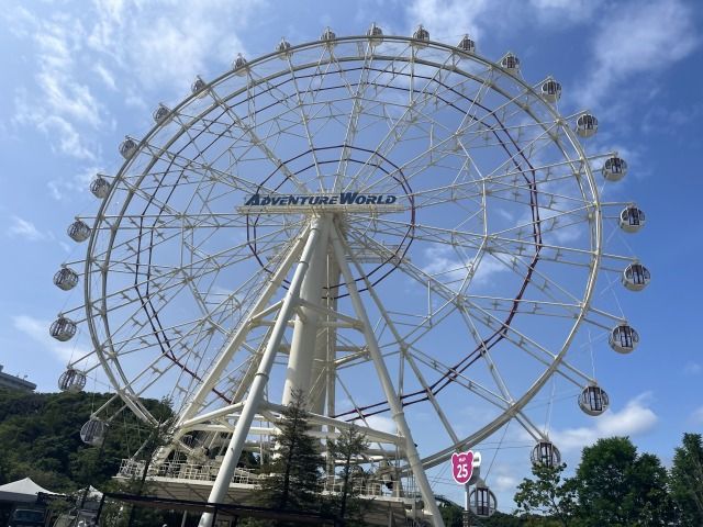 白浜といえば…