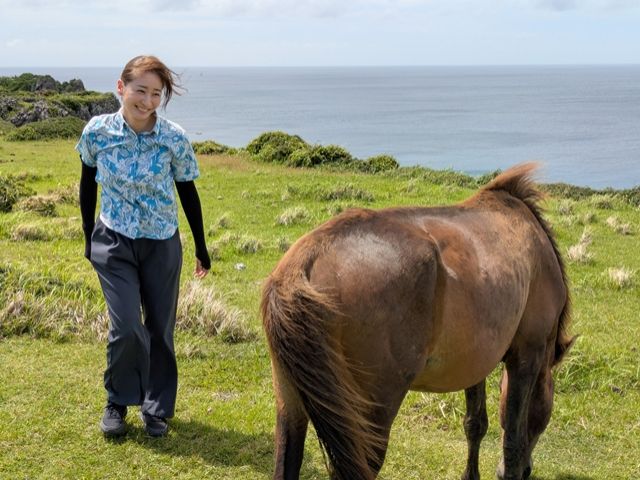 ＼★★ぜひ、与那国島の大自然を体験ください☆☆／