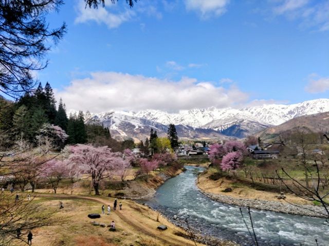 白馬はすごく素敵な自然がいっぱい◇
夏は涼しいので暑さが苦手な方も快適に過ごせます!!