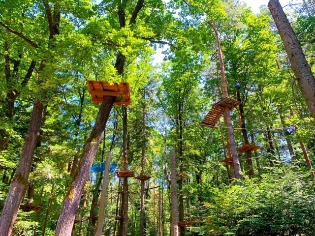 大自然を最大限に活かしたアスレチックです♪