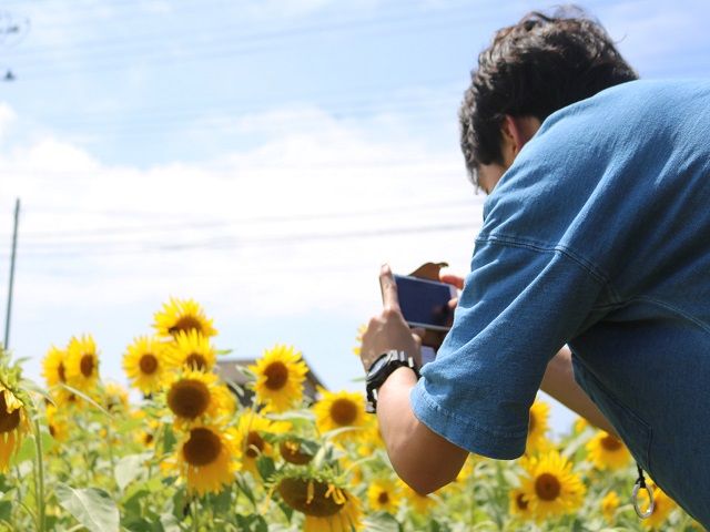 空気も美味しいし、高原でお仕事してみませんか★☆
