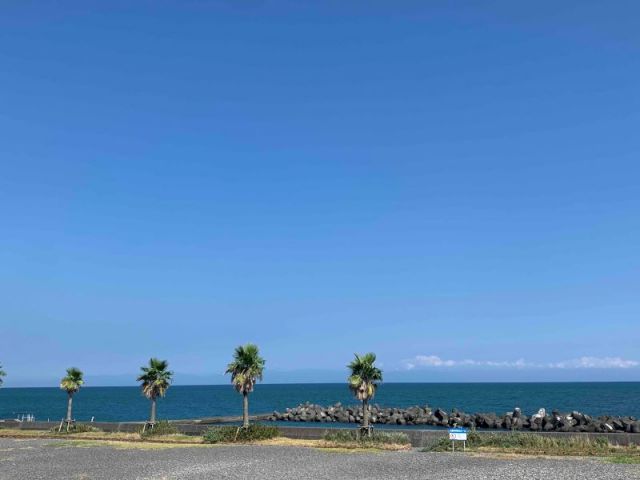 焼津はカツオの水揚げ量が日本一の港町です！