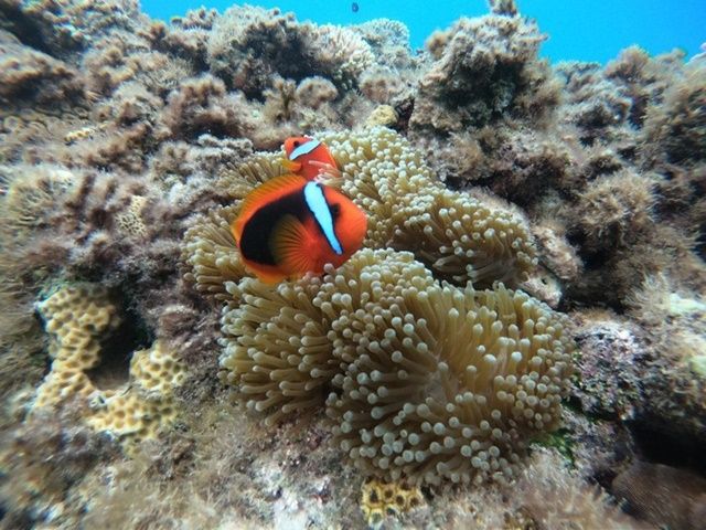 マリンショップも運営しており、充実した施設の利用も可能です♪