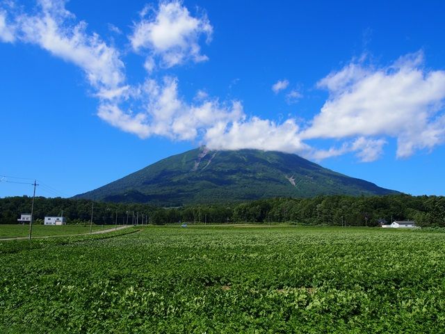 夏の北海道は過ごしやすい！