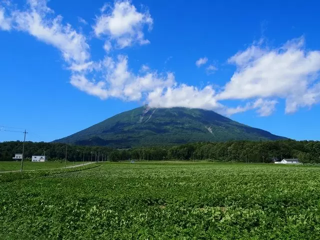 夏の北海道は過ごしやすい！