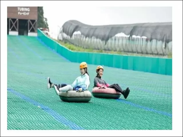 冬はスキーリゾートで有名ですが、夏はアクティビティやツリーアドベンチャーが楽しめます！