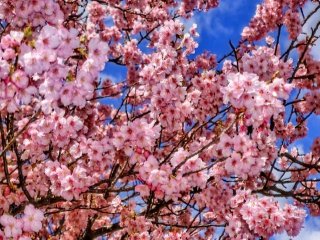 ++ご友人同士大歓迎++　アットホームな旅館でリゾバを満喫しませんか？