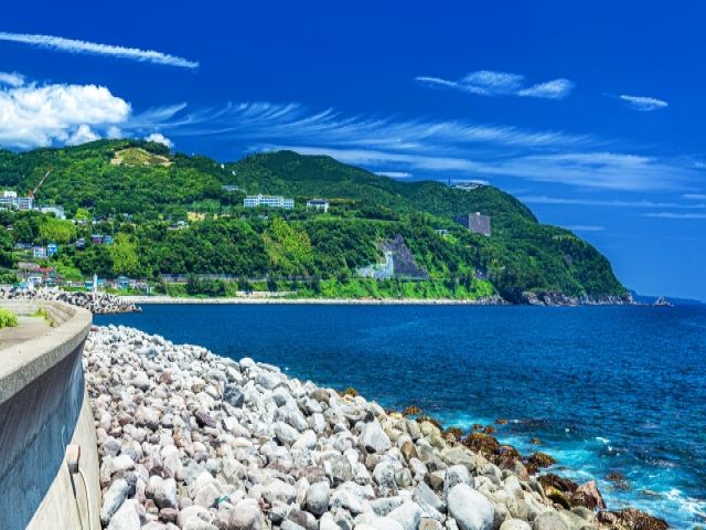 南伊豆は四季折々をお楽しみ頂けるエリアなんです！