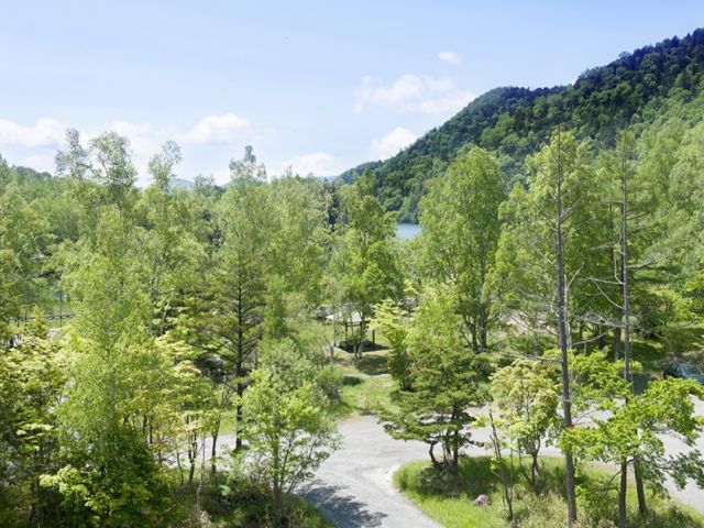 まるで海外の様な景色！平均気温も低く夏でも涼しい避暑地♪