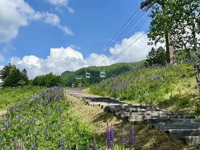 近場の散策やトレッキングも最高です♪