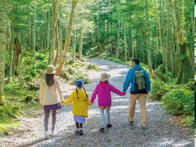 近場の散策やトレッキングも最高です♪