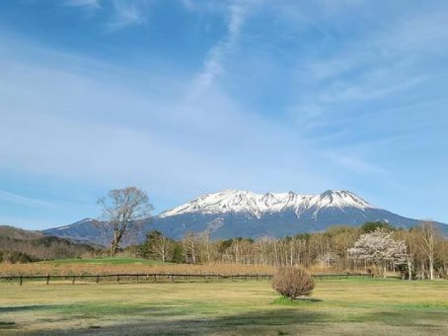 ☆木曽・御岳は緑の多いエリアですよ！