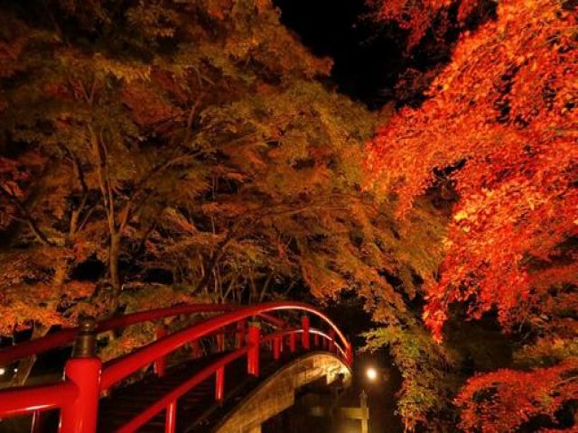 伊香保の有名老舗旅館です。接客を学べます！
