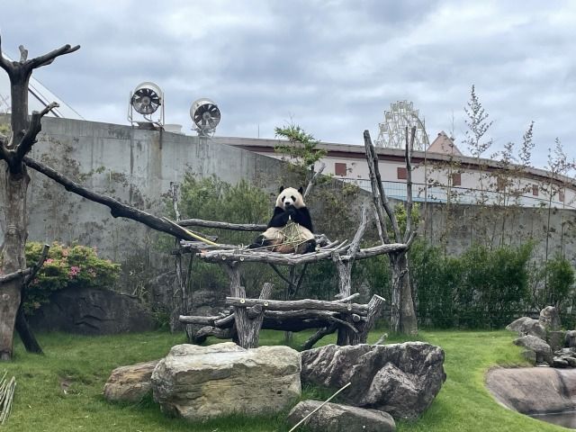 白浜といえば…