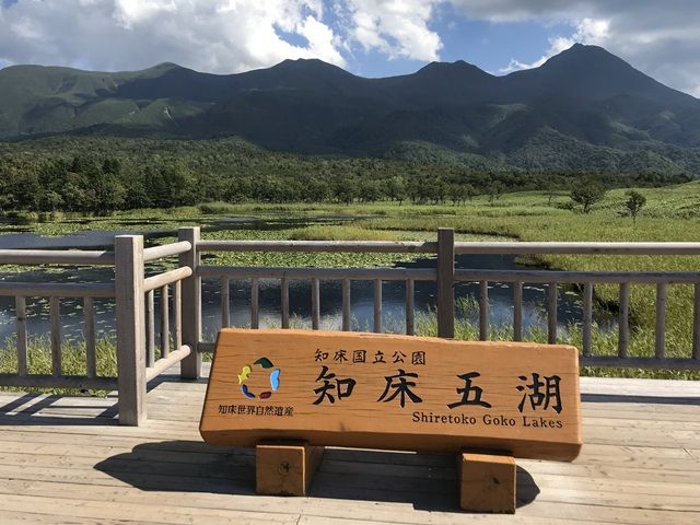 世界自然遺産が近く、グルメやアクティビティも充実！