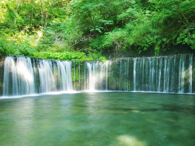 観光名所もたくさんあります。