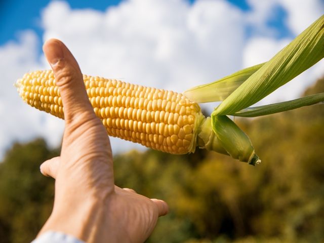 未経験からでも相談可能です！