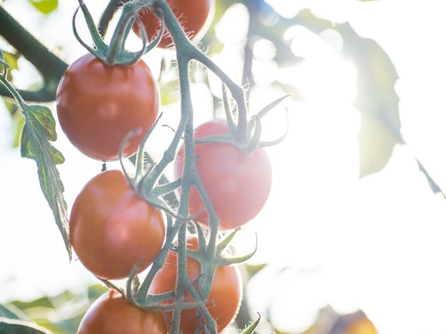 友人同士応募可能です！