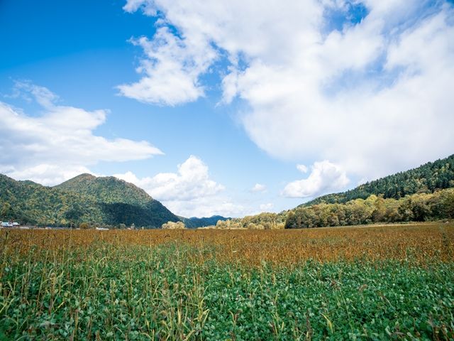 寮費・水道光熱費無料