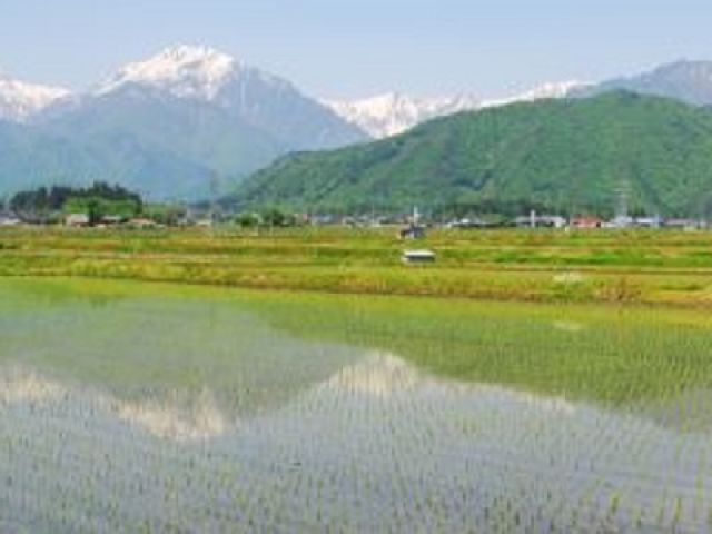 大自然に囲まれて空気も美味しいところです