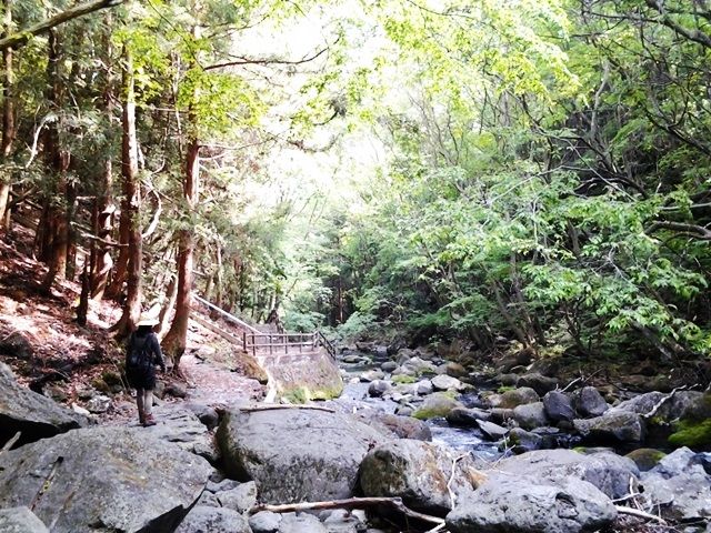 マイナスイオンにたくさん浴びてください♪