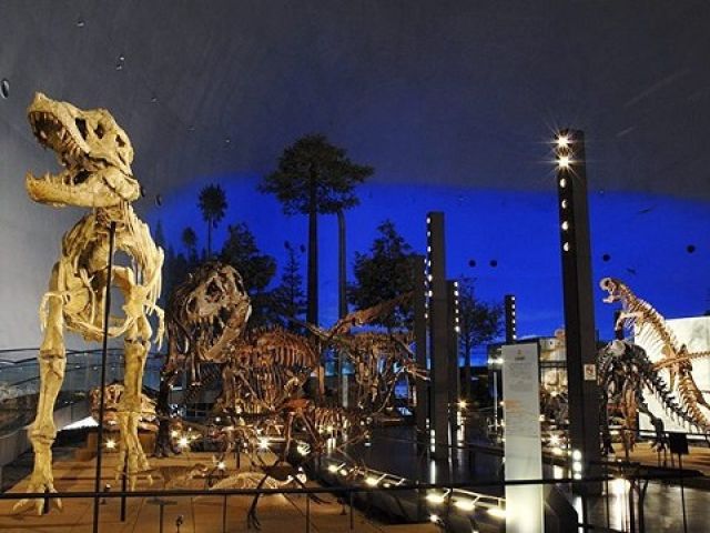 休みには恐竜博物館や東尋坊など☆
観光で楽しめる場所もたくさん!!