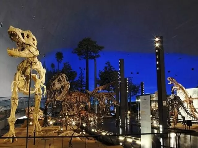 休みには恐竜博物館や東尋坊など☆
観光で楽しめる場所もたくさん!!