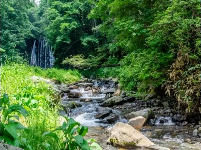 夏の菅平は空気もおいしい！！