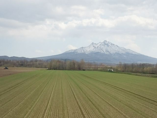 海だけじゃない、農業なども盛んな地域なので、まさに北海道らしいロケーションを楽しめます！