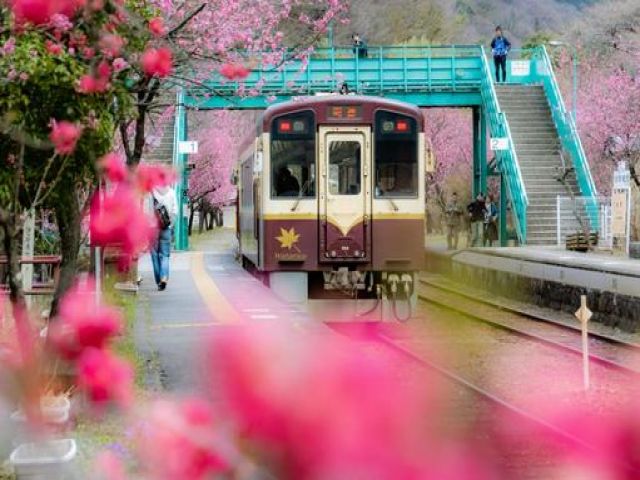 レトロな電車で赴任していただきます！